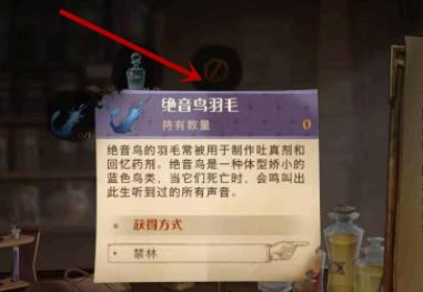 哈利波特魔法觉醒绝音鸟羽毛怎么获得