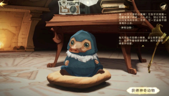哈利波特神奇动物有什么用?