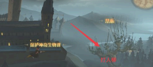 哈利波特魔法觉醒打人柳在哪?