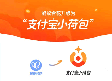 支付宝小荷包可以一个人存吗?