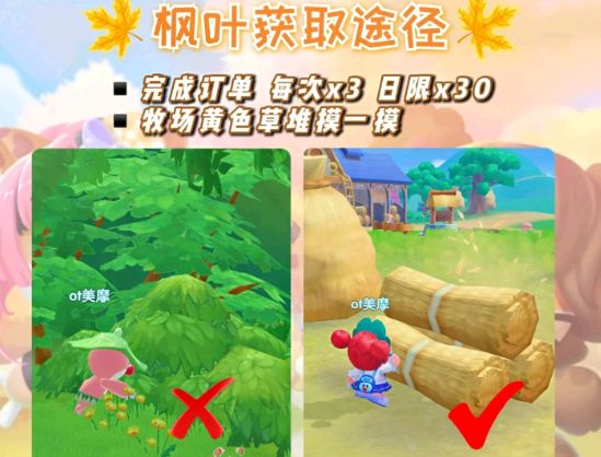 摩尔庄园枫树种子怎么获得?