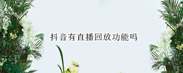 抖音有直播回放功能吗