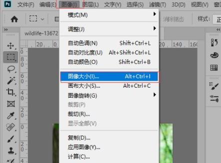 ps放大图片保持比例操作教程