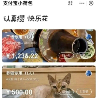 支付宝小荷包功能怎么样 支付宝小荷包的钱怎么取出来？