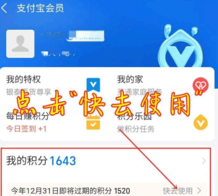 支付宝积分延期卡在哪里?