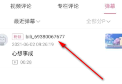 b站弹幕能看到是谁发的吗