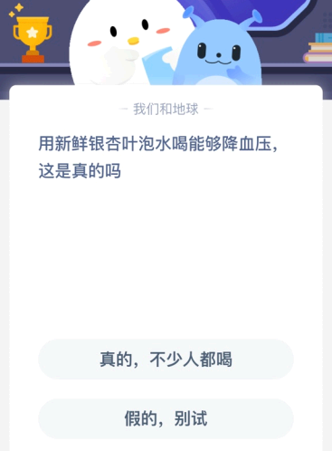 用新鲜银杏叶泡水喝能够降血压 这是真的吗?
