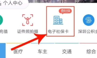 支付宝农村合作医疗怎么查询