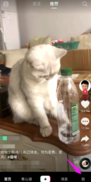 抖音极速版快递怎么查