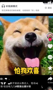 抖音听视频模式什么时候上线？ 抖音听视频功能怎么没有了？
