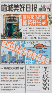 天猫双十一狂欢夜2021节目单 双十一狂欢夜在哪看直播?