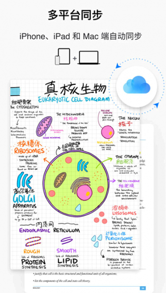 GoodNotes50元是永久的吗?