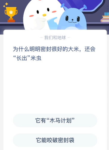 为什么明明密封很好的大米 还会“长出”米虫?