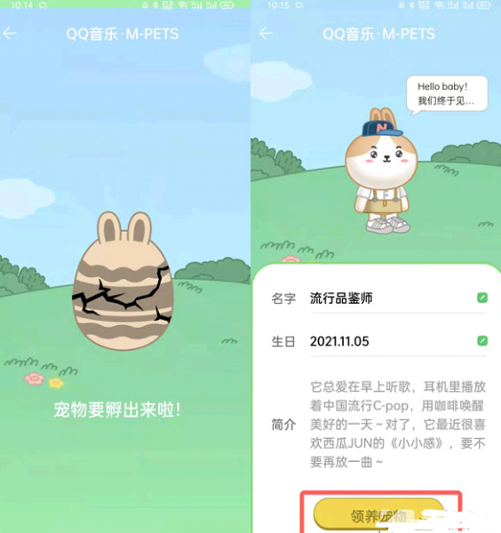 qq音乐宠物怎么领养?