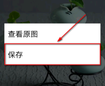 淘宝拍照的图片保存在哪里