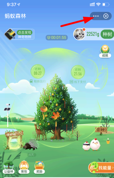支付宝怎么开通步行有能量?