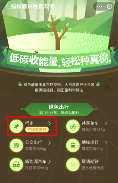 支付宝怎么开通步行有能量?