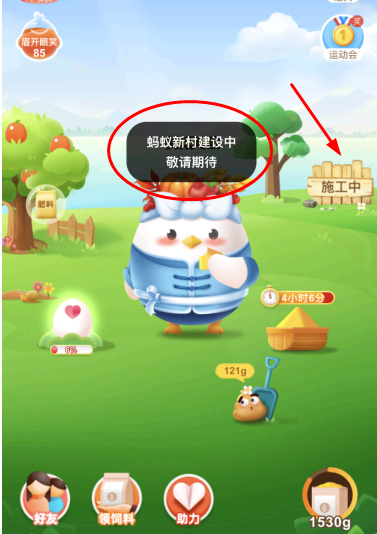 支付宝蚂蚁新村建设中是什么意思?