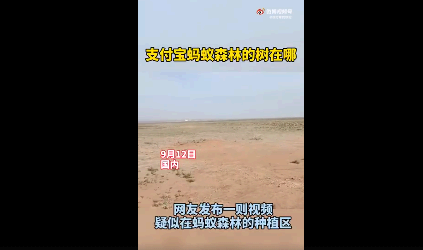 蚂蚁森林造假是真的吗?