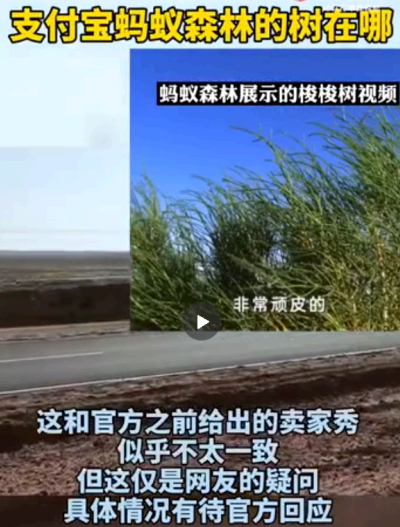 蚂蚁森林造假是真的吗?