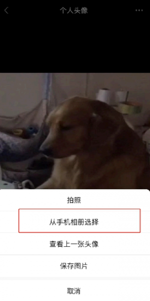微信头像怎么换