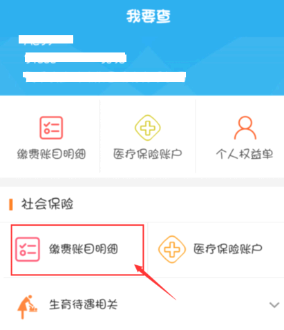 支付宝社保怎么查询缴费记录