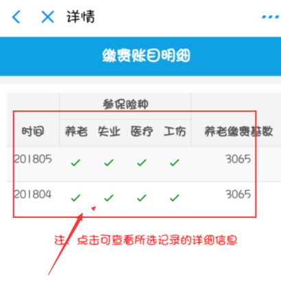 支付宝社保怎么查询缴费记录