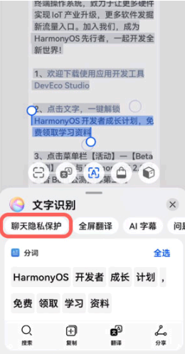 华为聊天隐私保护怎么开启?在哪里设置?