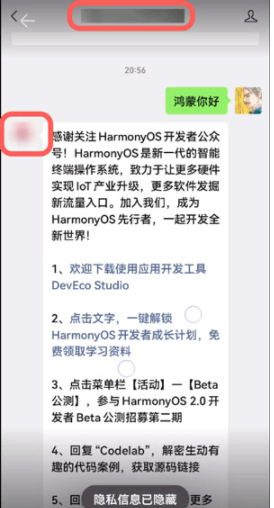 华为聊天隐私保护怎么开启?在哪里设置?