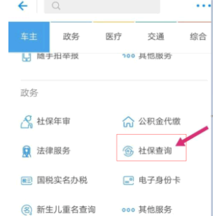 支付宝怎么查询养老保险缴费记录