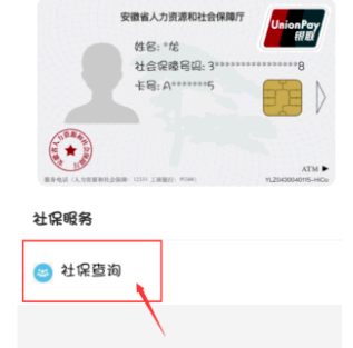 支付宝怎么查询养老保险缴费记录