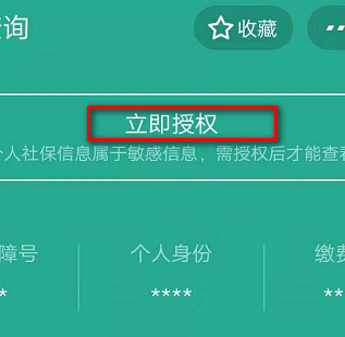 支付宝怎么查询养老保险缴费记录