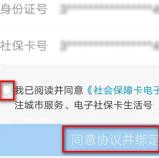 支付宝怎么查询养老保险缴费记录