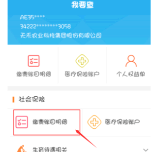 支付宝怎么查询养老保险缴费记录