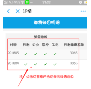 支付宝怎么查询养老保险缴费记录