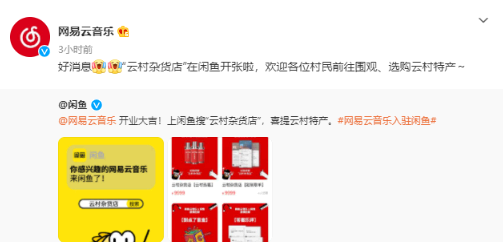 闲鱼云村杂货店是网易云官方吗