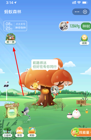 蚂蚁森林森林人格怎么测试?