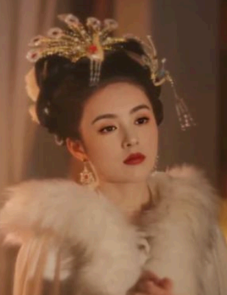 faceplay怎么换不了照片