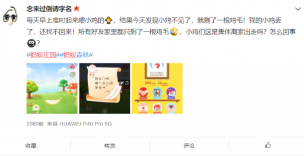 小鸡出门了怎么找回来?