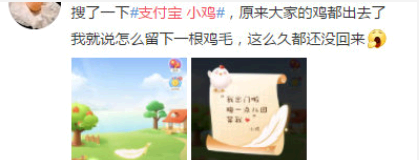 小鸡出门了怎么找回来?