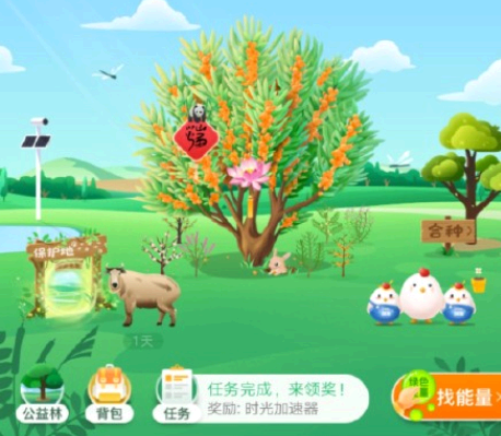 支付宝小鸡去哪了？