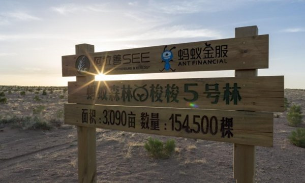 支付宝车辆停驶怎么没有了?