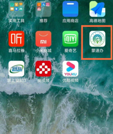 蒙速办怎么查询疫苗接种