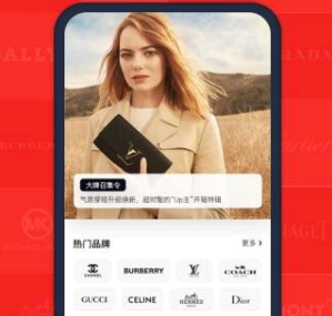 红布林寄卖不通过是假货吗