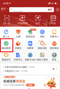 蚂蚁森林树上的装扮怎么获得 蚂蚁森林沙棘树装扮怎么获得?