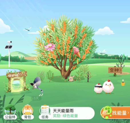 蚂蚁森林沙棘树装扮怎么获得?