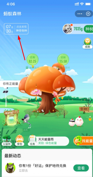 蚂蚁森林神奇物种在哪里?