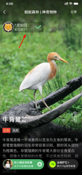 蚂蚁森林神奇物种在哪里?
