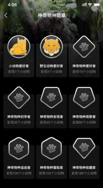 蚂蚁森林神奇物种在哪里?
