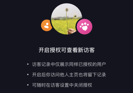 抖音主页访客多久更新一次? 抖音访客记录怎么设置?
